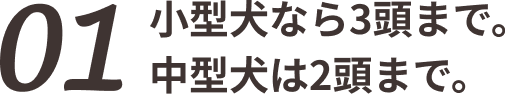 01 小型犬なら3頭まで。中型犬は2頭まで。